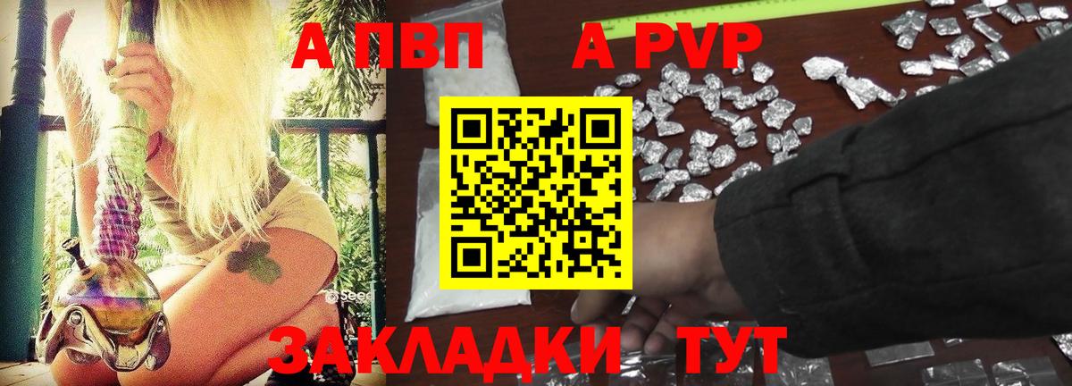 А ПВП СК  A-PVP СК  Майкоп  Вход с VPN 