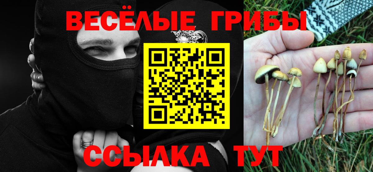 Майкоп  Галлюциногенные грибы ЛСД  Вход с VPN 